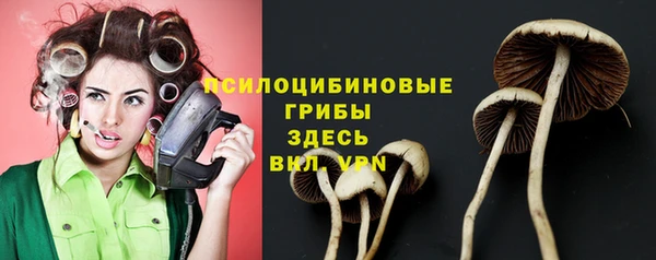 МДМА Лагань