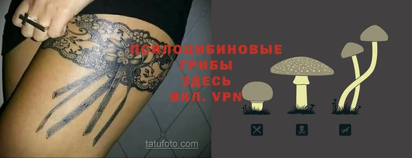 прущая мука Ладушкин
