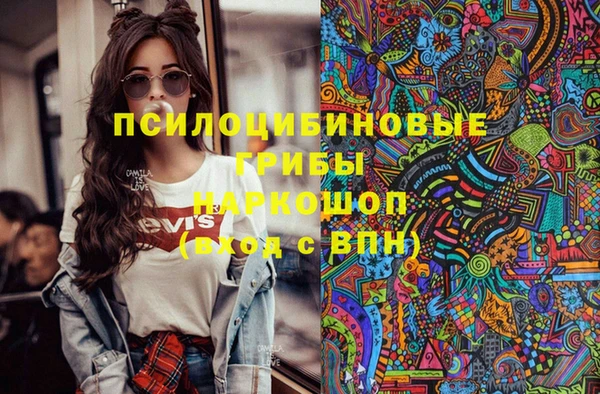 прущая мука Ладушкин