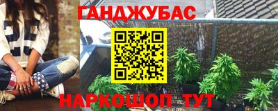 спайс Гай