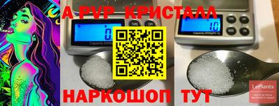 индика Будённовск