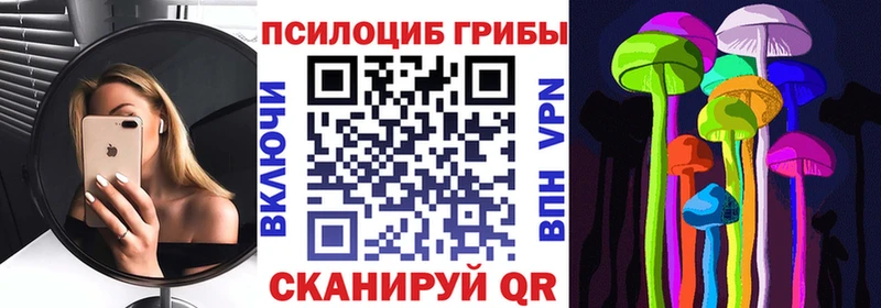 OMG ссылка  Елабуга  Галлюциногенные грибы Magic Shrooms  купить наркоту 