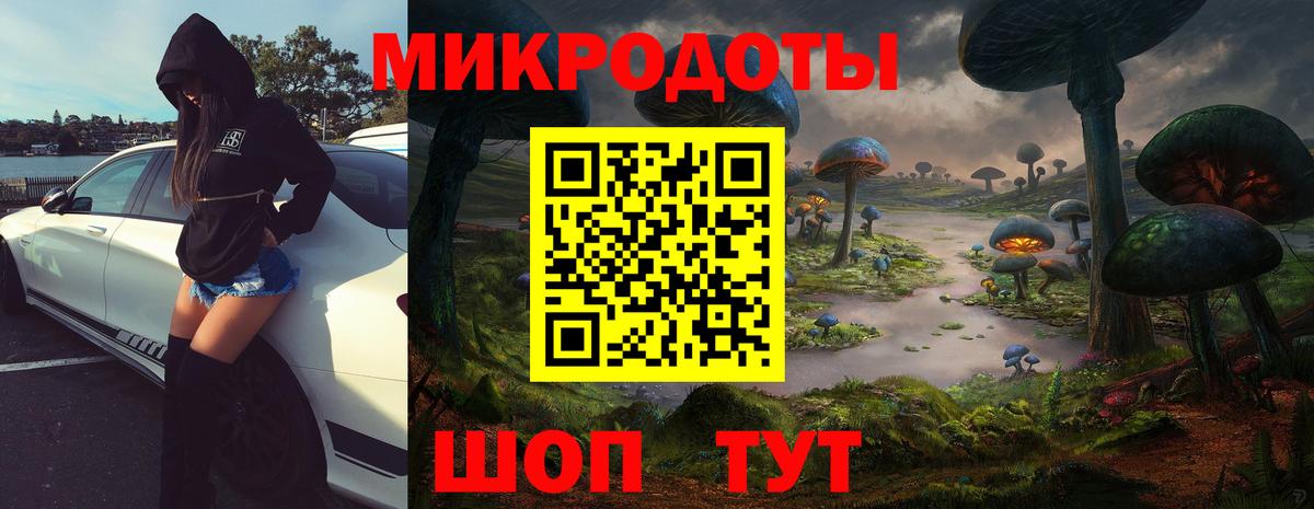 Елабуга  Псилоцибиновые грибы Cubensis  Вход с VPN 