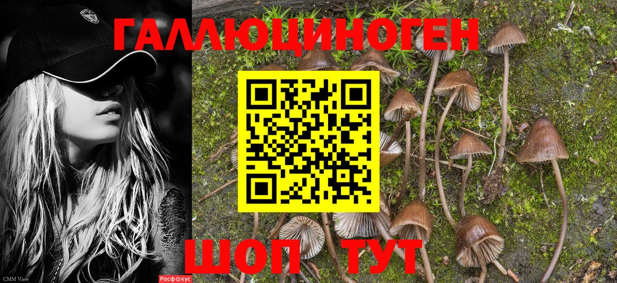 Галлюциногенные грибы мицелий Елабуга